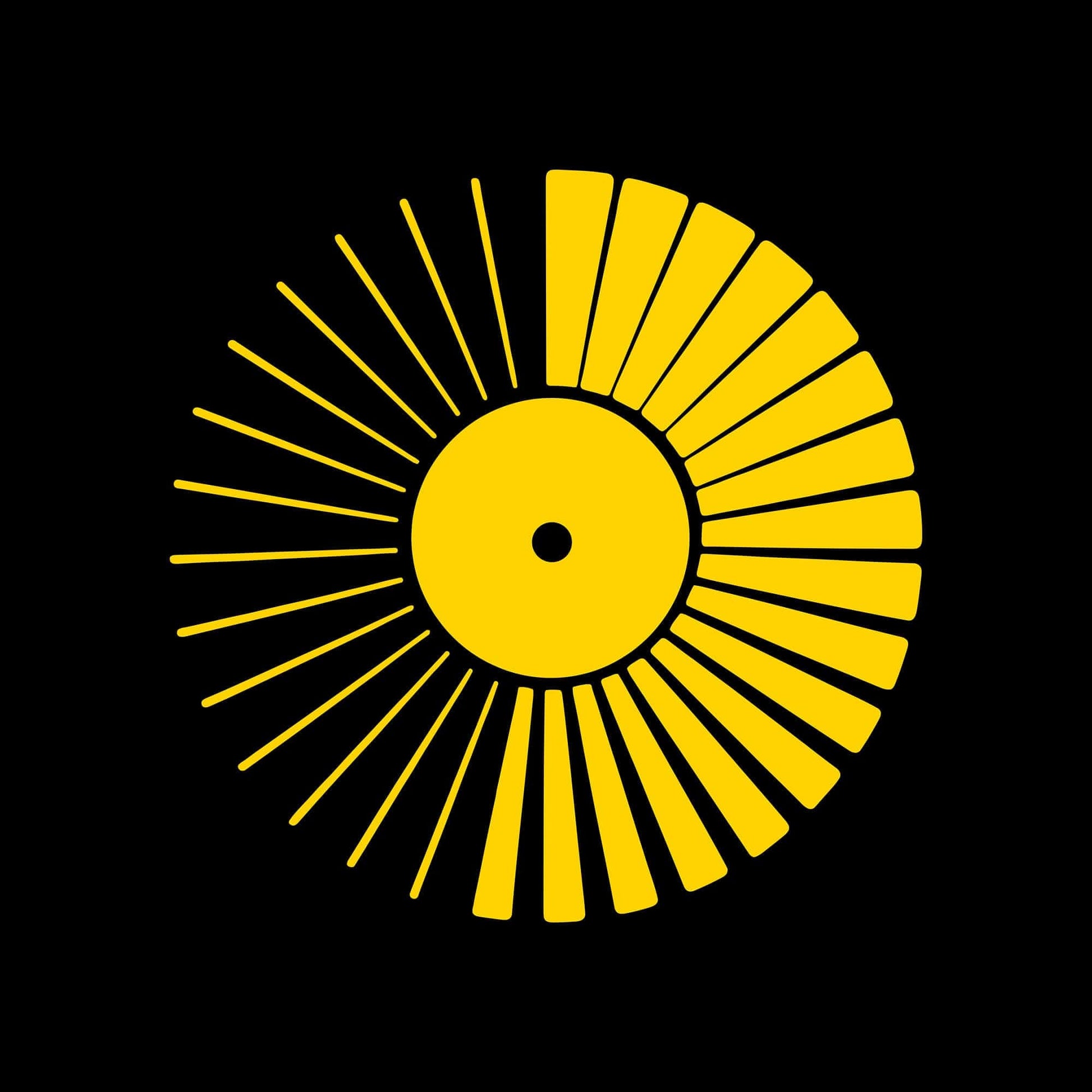 Vinyl Sunshine T-Shirt Vinyl Sunshine T-Shirt